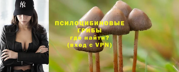 соль курить ск Алексеевка