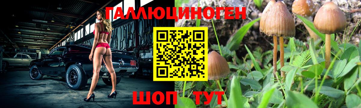 Галлюциногенные грибы GOLDEN TEACHER Грозный